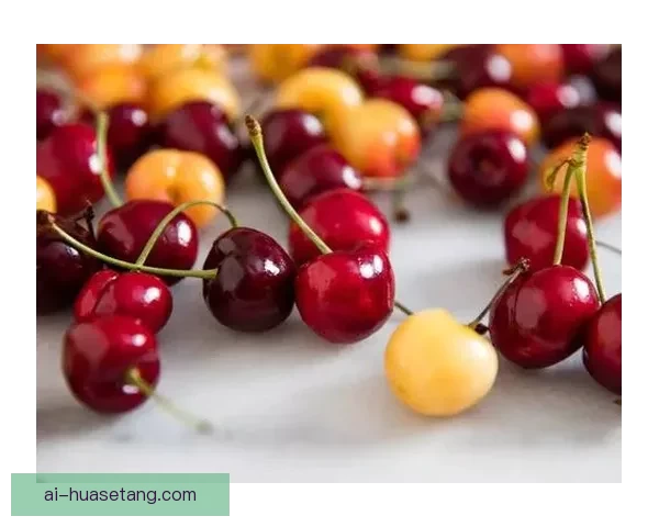 樱桃视频在线观看：解锁夏日缤纷，品味指尖上的甜蜜